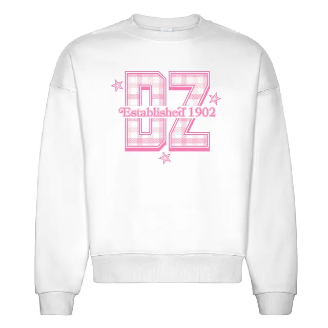 Delta Zeta Checkered Pink Text PR Crewneck 2