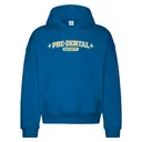 Pre-Dental Society Bold Block Lettering PR Hoodie 2