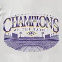 Phi Kappa Psi Stadium Illustration Game Day Shirt