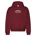 Pi Beta Phi Bold Arch PR Hoodie 2