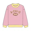 Alpha Chi Omega Block Lettering Established Date Hoodie 2