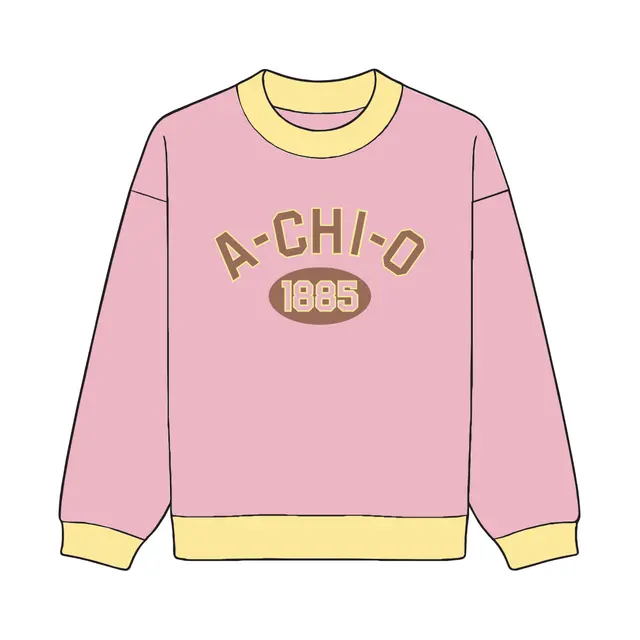 Alpha Chi Omega Block Lettering Established Date Hoodie 2