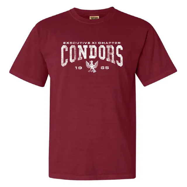 Lambda Alpha Upsilon Condors Distressed Eagle Graphic PR Shirt 2
