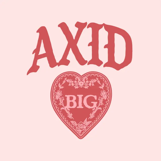 Alpha Xi Delta Heart Design Big Little Reveal Shirt