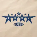 Alpha Omicron Pi Established Date on Retro Stars in Blue PR Tote