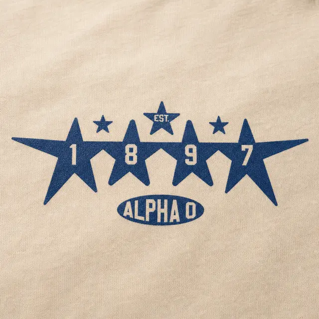 Alpha Omicron Pi Established Date on Retro Stars in Blue PR Tote