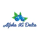 Alpha Xi Delta Blueberry Illustration PR Shirt