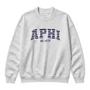 Alpha Phi Striped Block Lettering PR Sweater 2