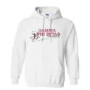 Gamma Phi Beta Cowboy and Cactus PR Hoodie 2