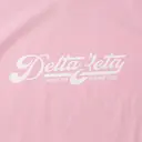 Delta Zeta Flowing Script Philanthropy Shirt