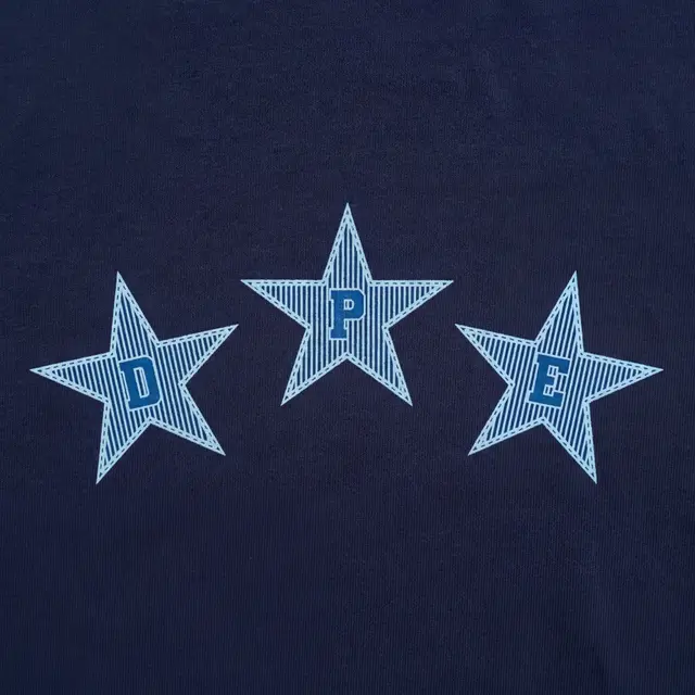 Delta Phi Epsilon Star Pattern PR Sweater
