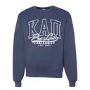 Kappa Alpha Pi Bold Lettering PR Crewneck 2