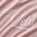 Zeta Tau Alpha Hand Drawn Lettering Rush Sweater