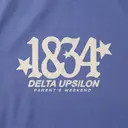Delta Upsilon Bold Number Stars Parents Weekend Sweater