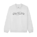 Delta Tau Delta Flowing Script PR Sweater 2
