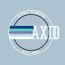 Alpha Xi Delta Bold Stripe Circle PR Hoodie