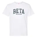 Beta Theta Pi Distressed Block Text PR Shirt 2