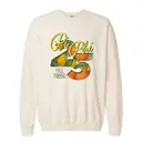 Pi Beta Phi Citrus Scenic Fall Formal Sweater 2