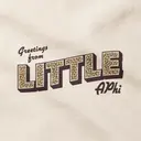 Alpha Phi Leopard Print Big Little Reveal Sweater