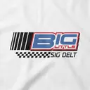 Sigma Delta Tau Checker Pattern Big Little Reveal Hoodie