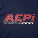 Alpha Epsilon Pi Speed Stripe Design PR Hoodie