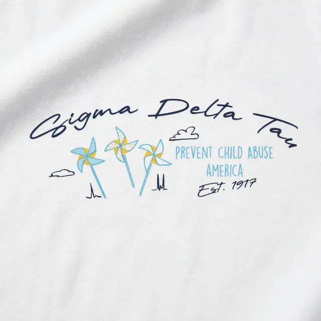 Sigma Delta Tau Whimsical Pinwheels Philanthropy Sweater