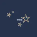 Zeta Tau Alpha Leopard Pattern Stars Formal Hoodie