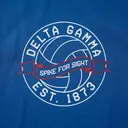 Delta Gamma Volleyball Graphic Philanthropy Crewneck