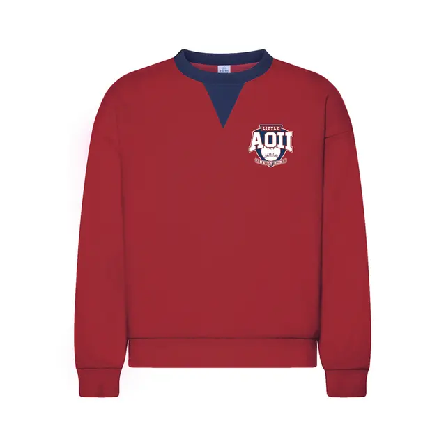 Alpha Omicron Pi Baseball Inspired Big Little Reveal Sweater 2