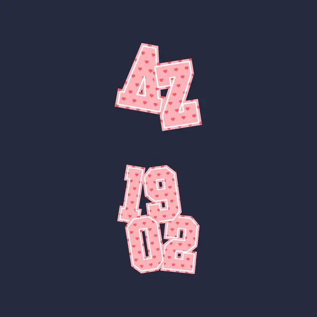 Delta Zeta Greek Letters and Numbers with Heart Pattern PR Hoodie