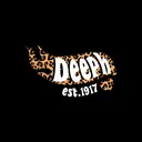 Delta Phi Epsilon Leopard Print PR Hoodie