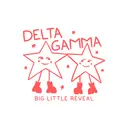 Delta Gamma Smiling Stars Big Little Reveal Tank