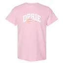 Delta Phi Epsilon Arch Text Pennant Recruitment Shirt 2