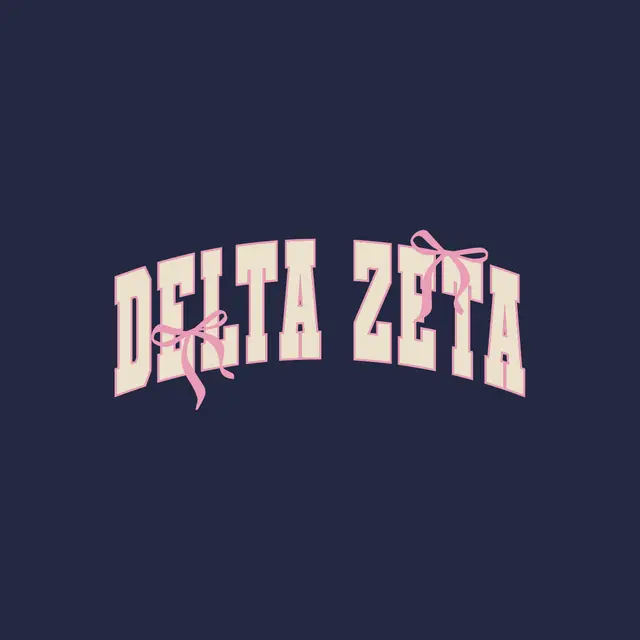 Delta Zeta Bow Accent Block Letter PR Hoodie