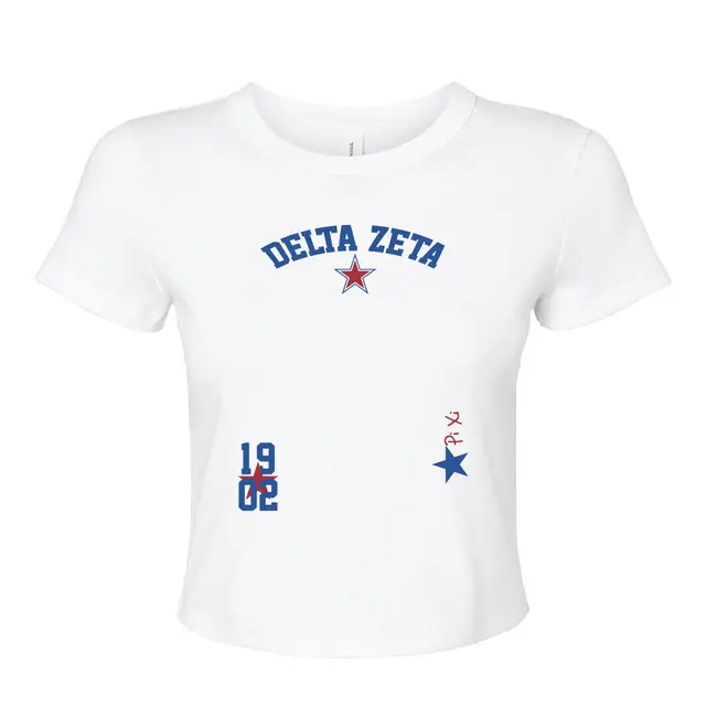 Delta Zeta Star Accents and Block Text PR Shirt 2
