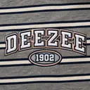 Delta Zeta Striped Lettering PR Shorts