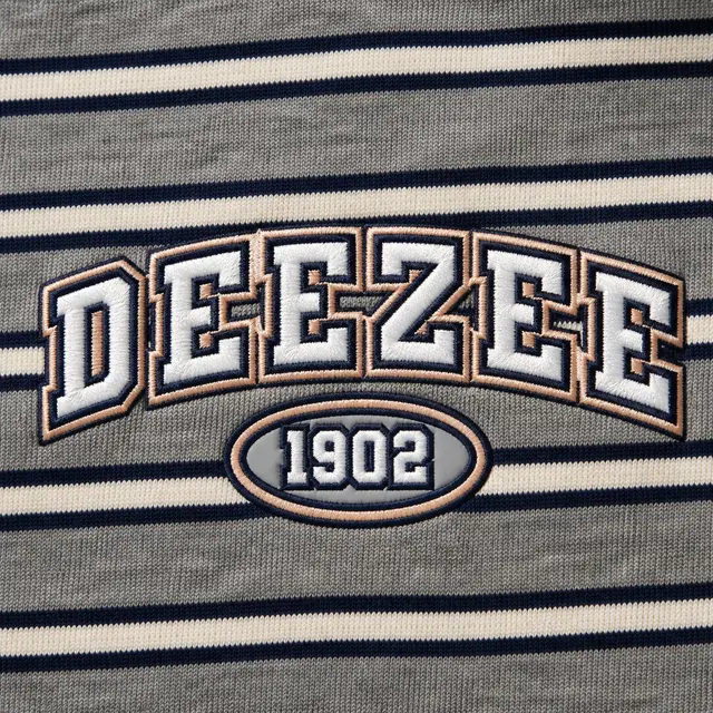 Delta Zeta Striped Lettering PR Shorts