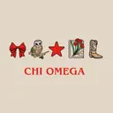Chi Omega Icons and Lettering PR Hoodie