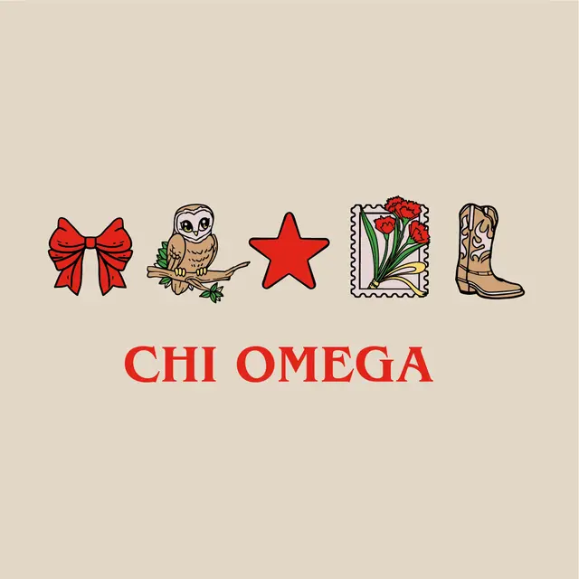 Chi Omega Icons and Lettering PR Hoodie