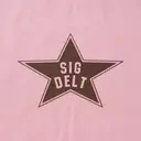Sigma Delta Tau Star Graphic PR Shorts