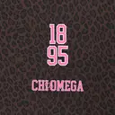 Chi Omega Pink Varsity Year Number Leopard Pattern PR Sweatpants