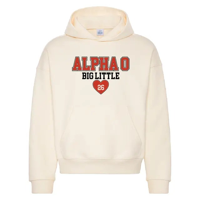 Alpha Omicron Pi Block Letters and Heart Big Little Reveal Hoodie 2