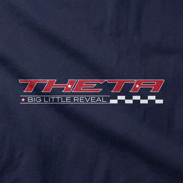 Kappa Alpha Theta Bold Text Checkered Big Little Reveal Hoodie