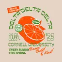 Delta Delta Delta Citrus Illustration PR Hoodie