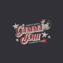 Gamma Phi Beta Disco Ball Stars Formal Shirt