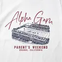 Alpha Gamma Delta Stadium Illustration Parents Weekend Sweater
