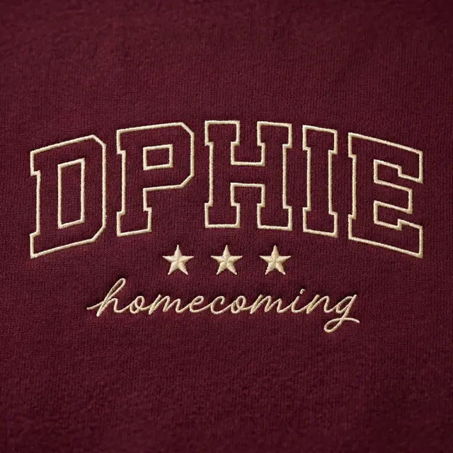 Delta Phi Epsilon Curved Text Homecoming Hoodie