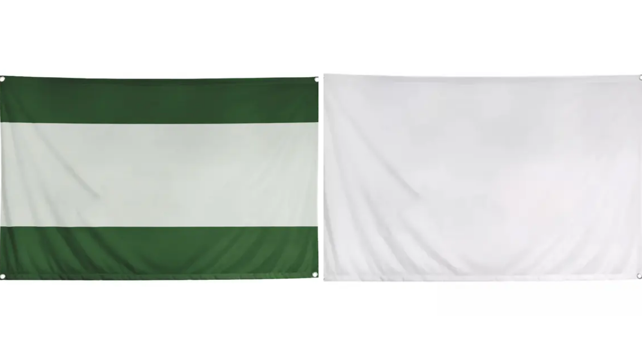 Photo of the DC Custom Flag and The Banner Store Custom Flag