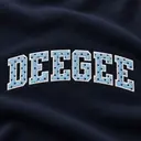 Delta Gamma Curved Text PR Hoodie