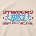 Cross Country Dynamic Runner Silhouettes PR Hoodie
